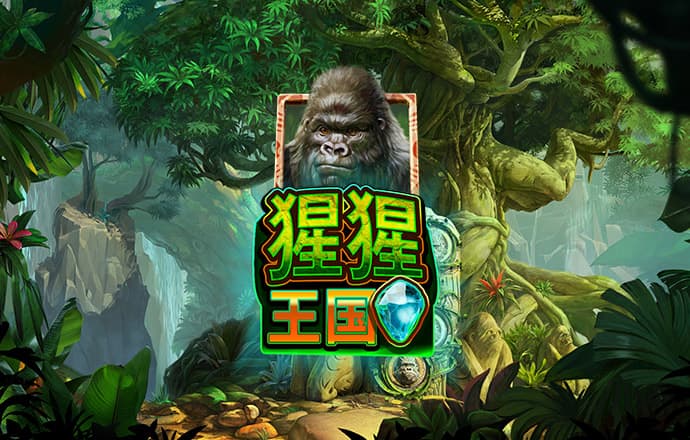 速球吧直播app官方下载手机版